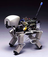 RoboDog prototype