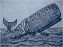 an illustration of a fight between the giant squid and a sperm whale