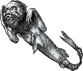 an engraving of P. T. Barnum's Fiji Mermaid from the New York Sunday Herald