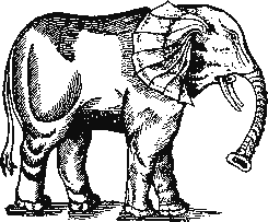 Pare's description of an elephant