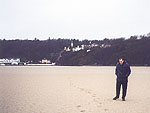 Portmeirion as seen from the beech in ebb tide