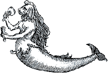 a seal-like mermaid
